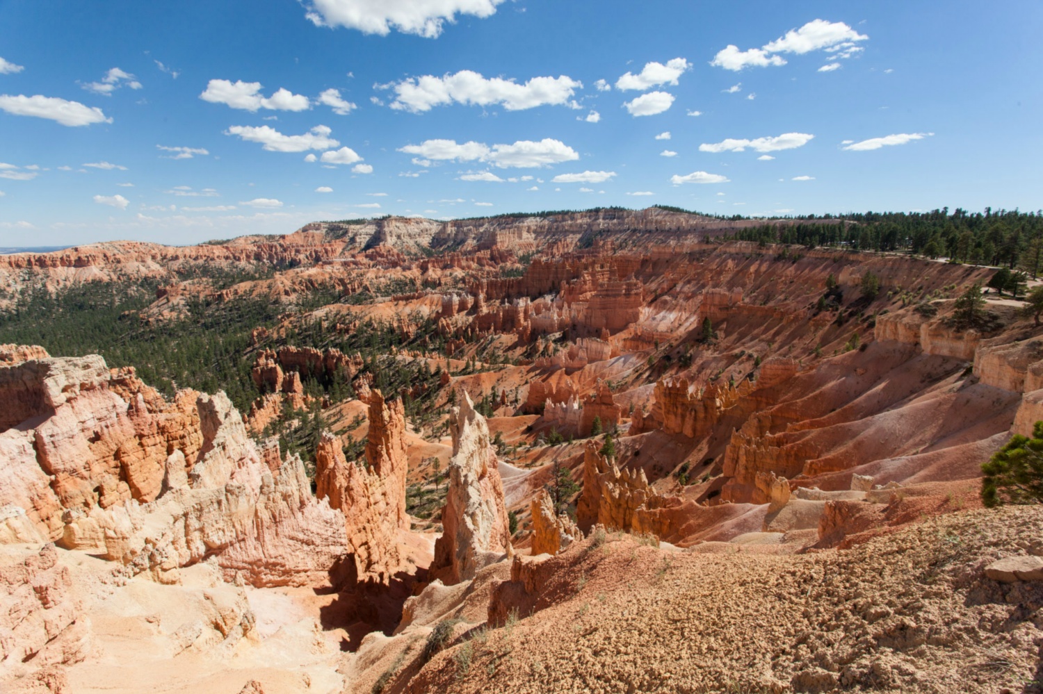USA_Bryce Canyon_010